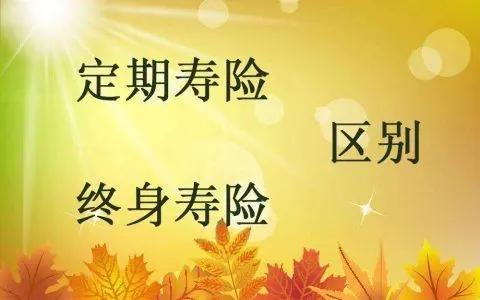 寿险买定期的还是终身的好？价格分别是多少？