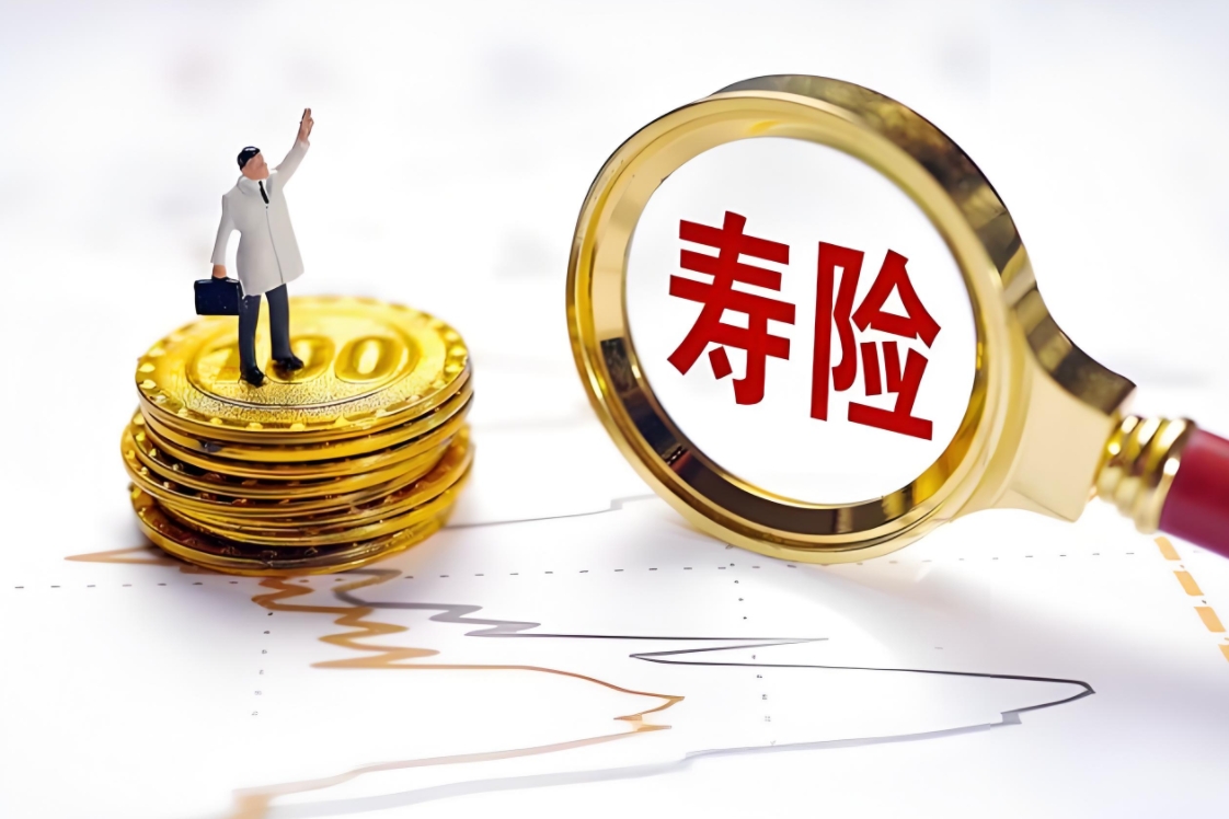 洞悉大家人寿终身寿险：双重保障，稳健理财的优选之路