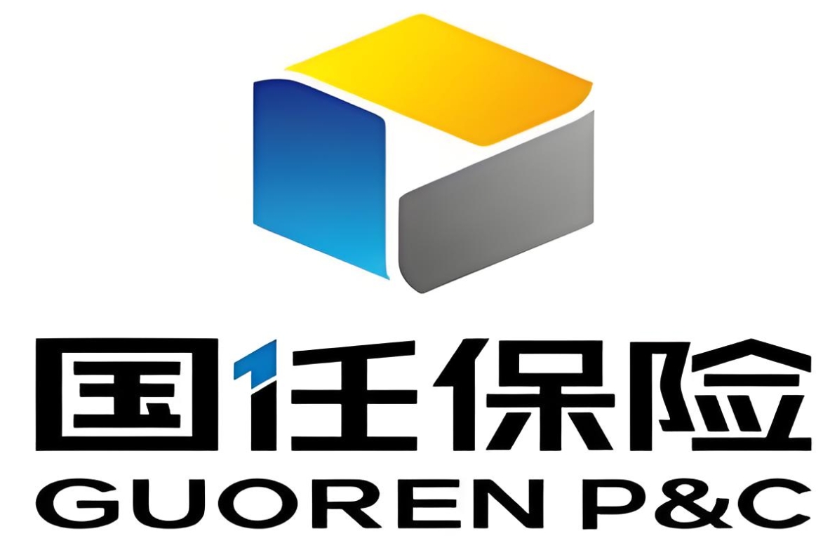 国任保险公司全面解析：实力铸就信赖，服务引领未来