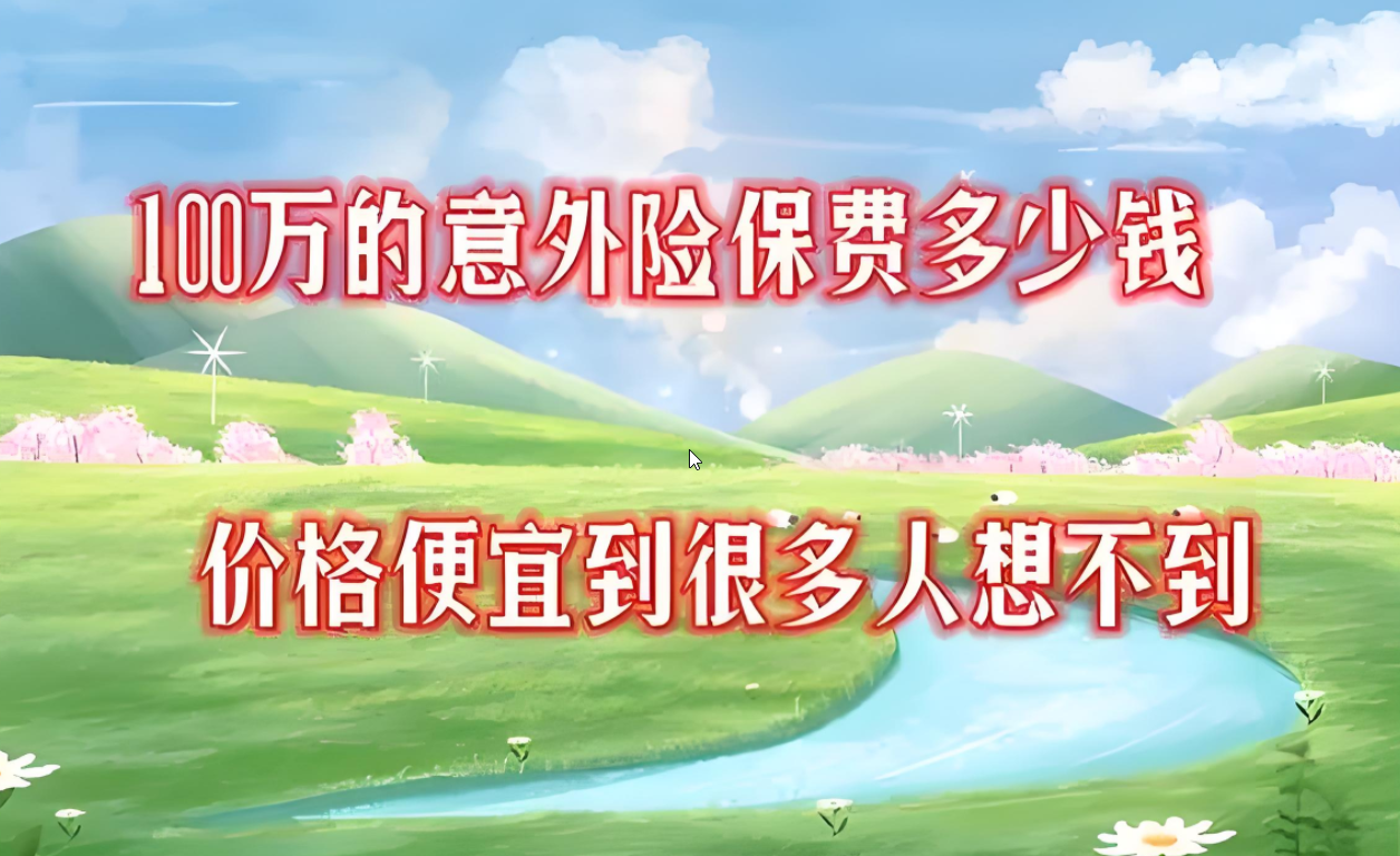 揭秘！100万保额个人意外险，保费究竟几何？全面解析与投保指南