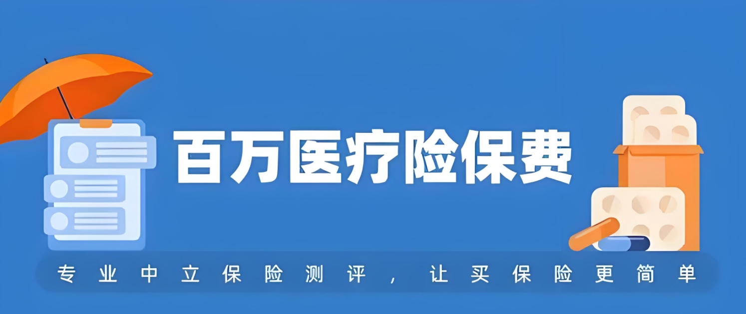 人寿百万医疗保险年度保费揭秘：影响因素与最新指南