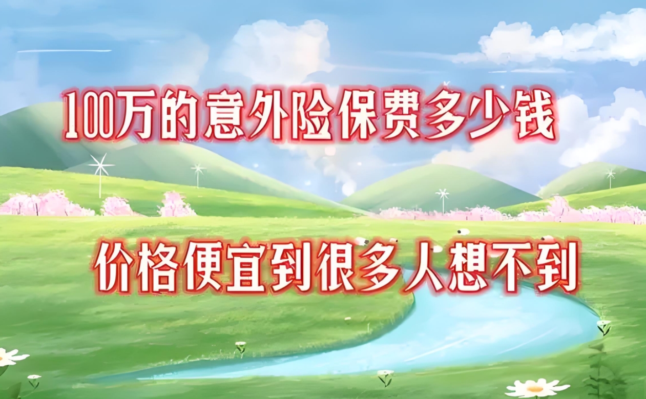 深度剖析：个人意外险100万保额，保费多少？影响因素与选购指南