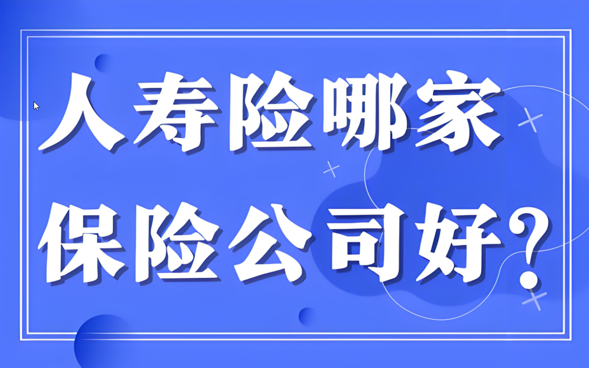 寿险选购指南：深度剖析，助你找到最佳保障方案