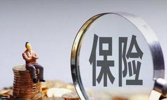 解码保险力量：十大核心功能全解析
